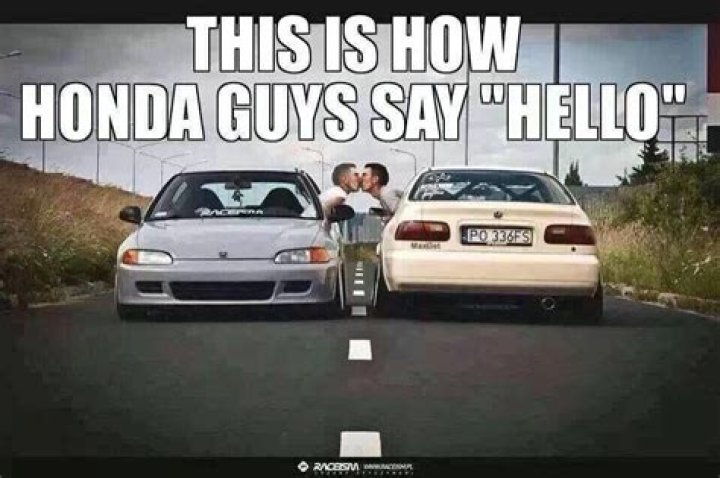 Typical Honda driver! Funny car memes, Really funny memes, Pinterest