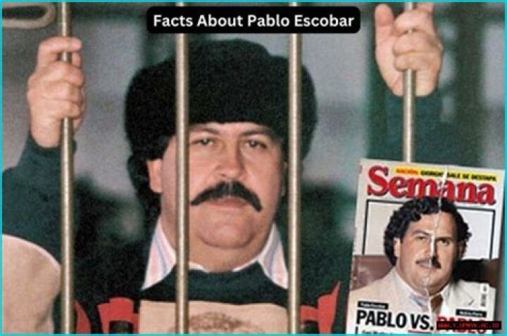 Ultimate Guide To Pablo Escobar's Enormous Wealth