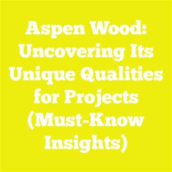 Uncovering Recent Projects And Personal Insights