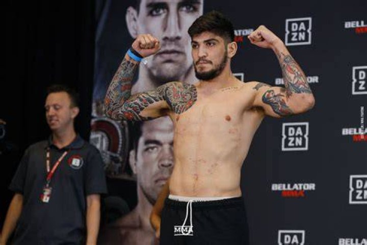 Unraveling Dillon Danis' Bellator Record: Unlocking Potential And Dominance