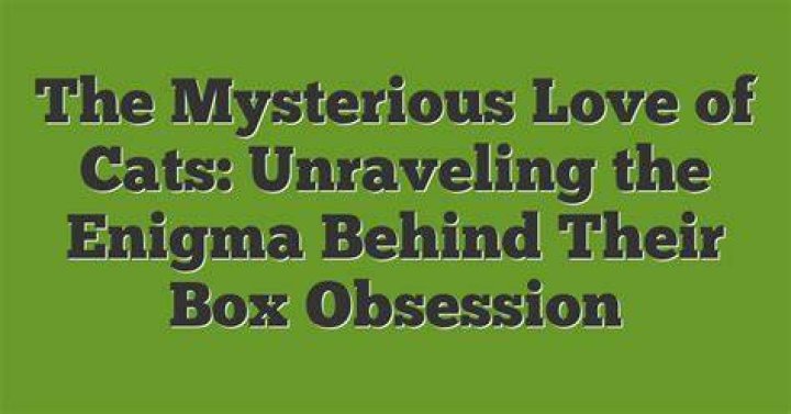 Unraveling The Enigma Behind Their Enduring Bond