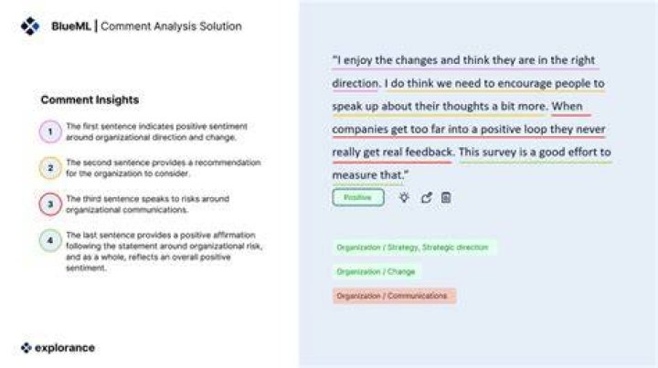 Unveiling The Genius Of Timoteo Schreiber: Uncover Hidden Insights