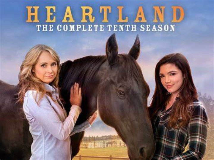 Unveiling The Reasons Behind Ty's Farewell From Heartland