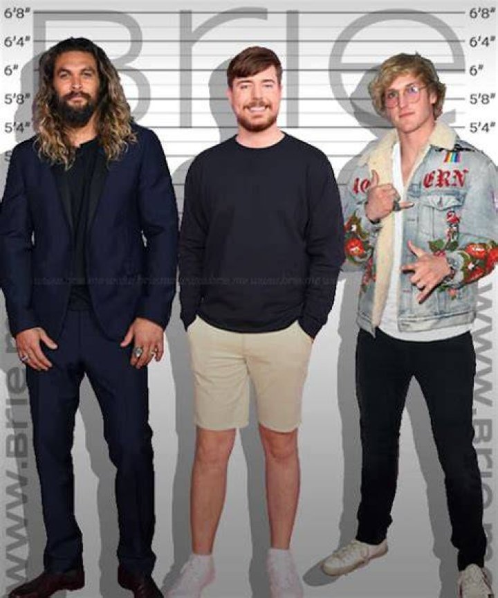 Unveiling The Secrets Of MrBeast's Towering Presence: Height Revealed