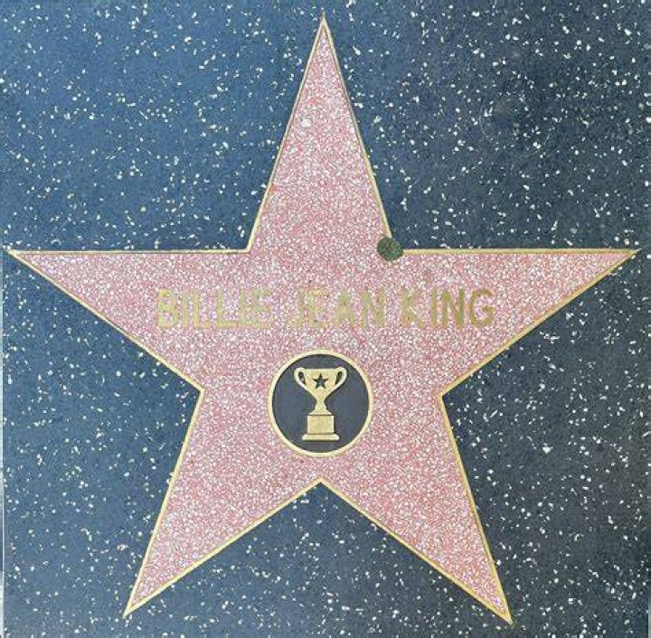 Unveiling The Star Behind The Wikipedia Page