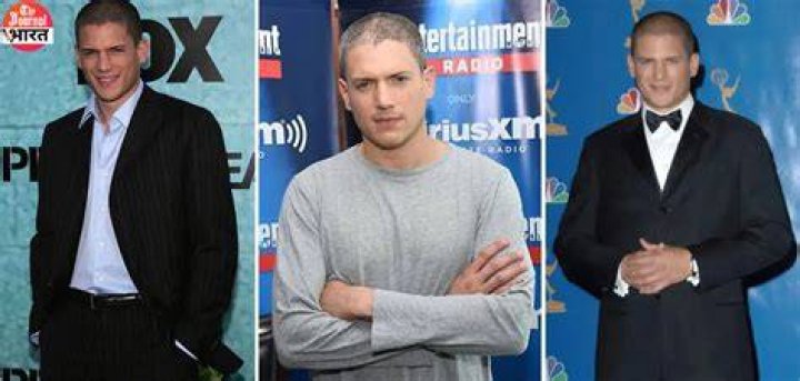 Unveiling Wentworth Miller's Cinematic Masterpieces And Captivating TV Performances