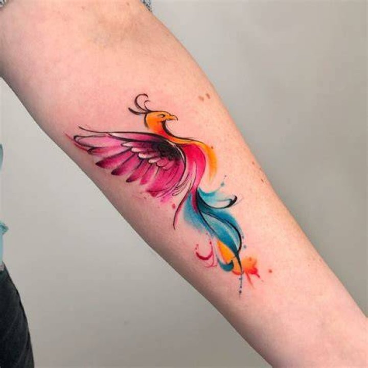 Watercolor Phoenix Tattoo Designs, Ideas and Meaning Tattoos For You