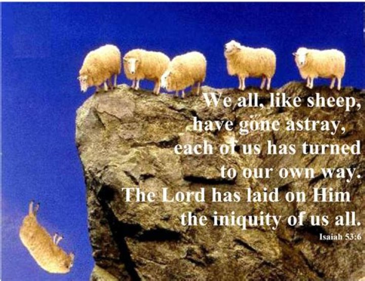 We All Like Sheep Have Gone Astray What Does Isaiah 536 Mean? Best