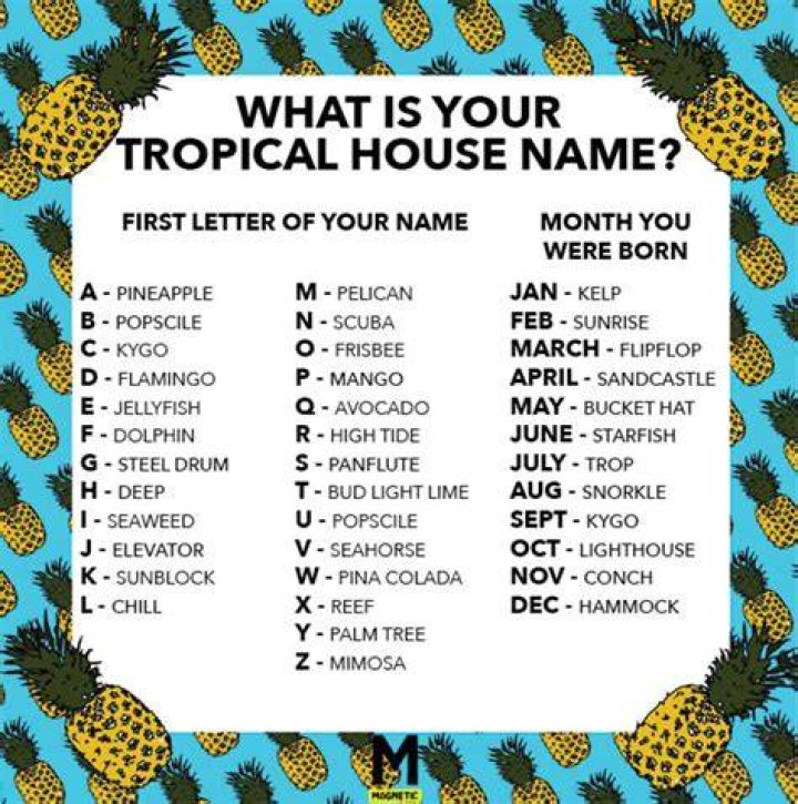 We Made You A Tropical House Name Generator Magazine Silly