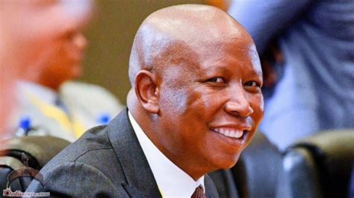 What Is Julius Malema's Age? Explore His Life Timeline