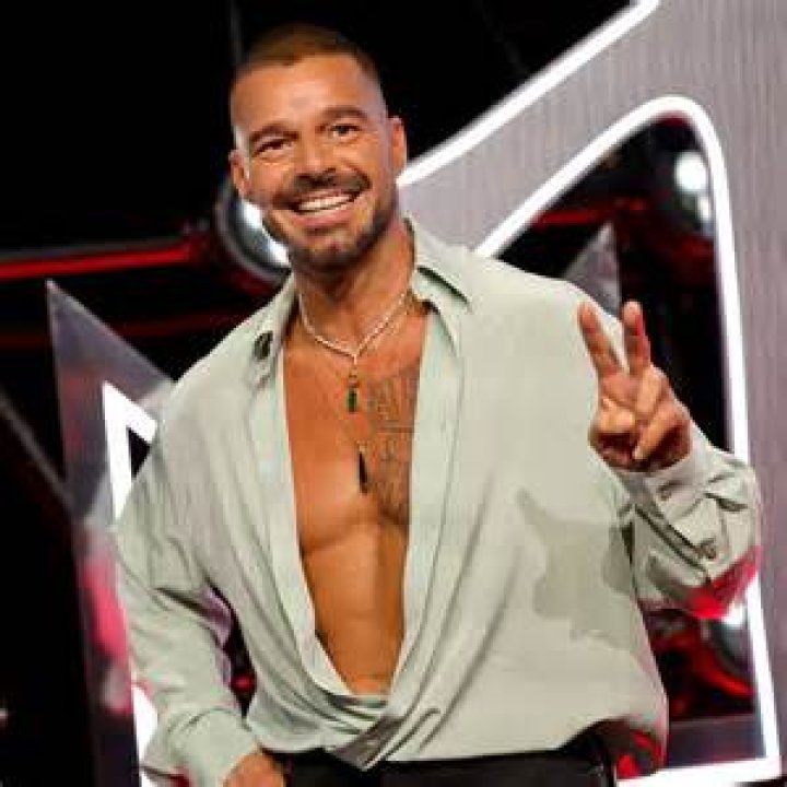 What Is Ricky Martin's Net Worth? Details on His Finances