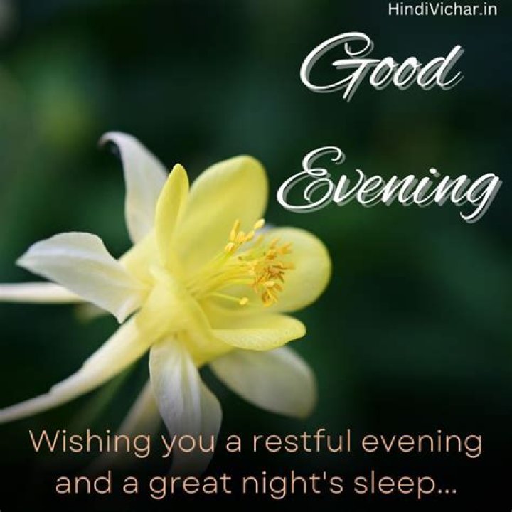 Whatsapp, Good Evening Message and Wishes Good Morning Images HD