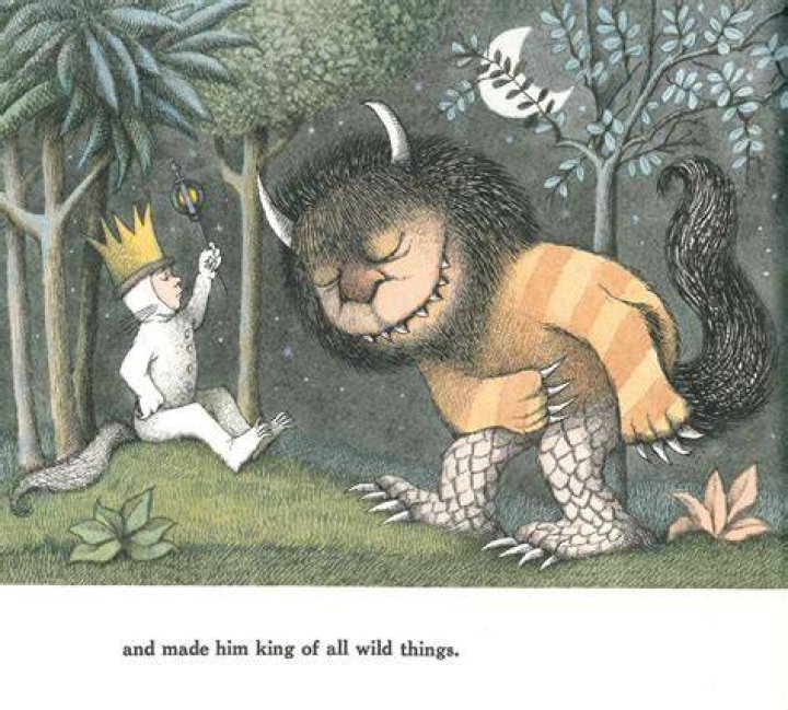 Where the Wild Things Are Luke Combs