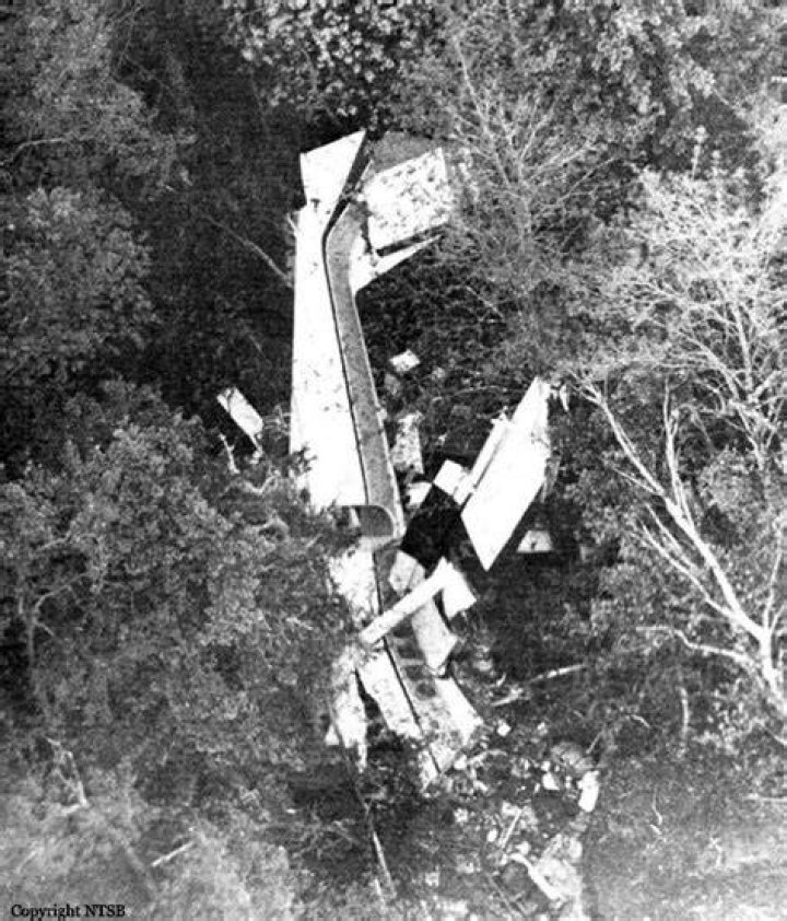"Who Is Dale Marks Flight 46"?