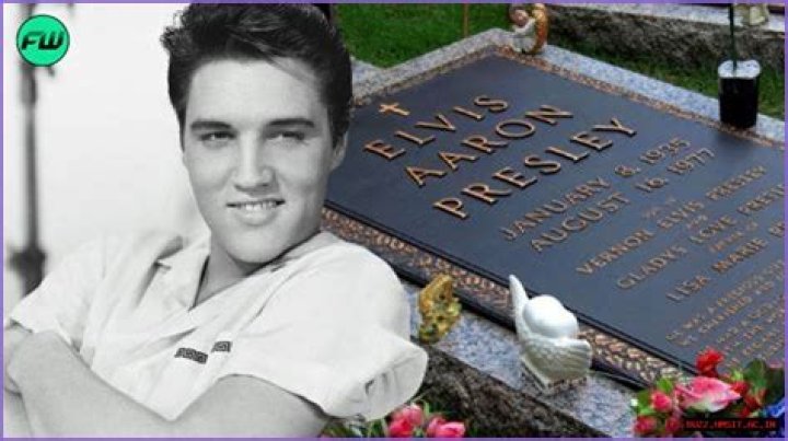 Why Did Elvis Presley Call Priscilla "Satnin"? Details