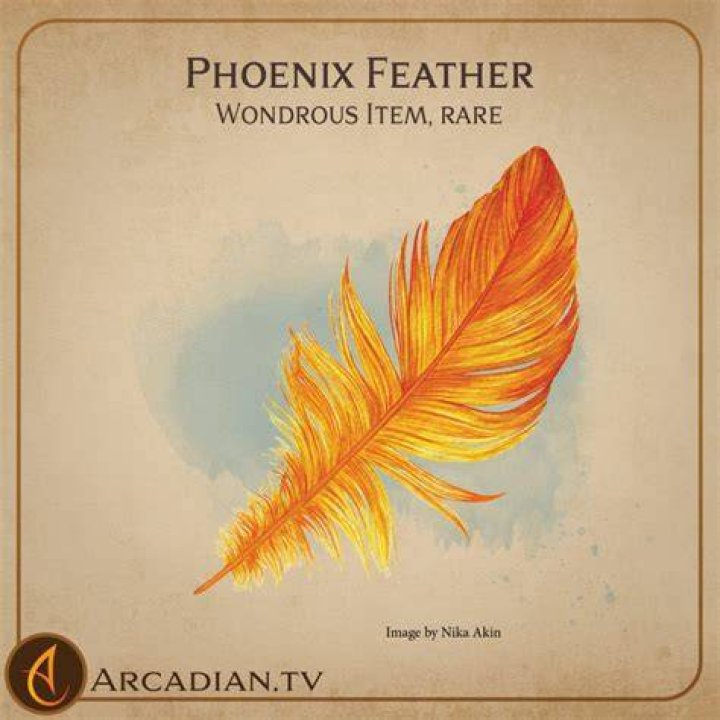 Why Get a Phoenix Feather Tattoo? Custom Tattoo Art