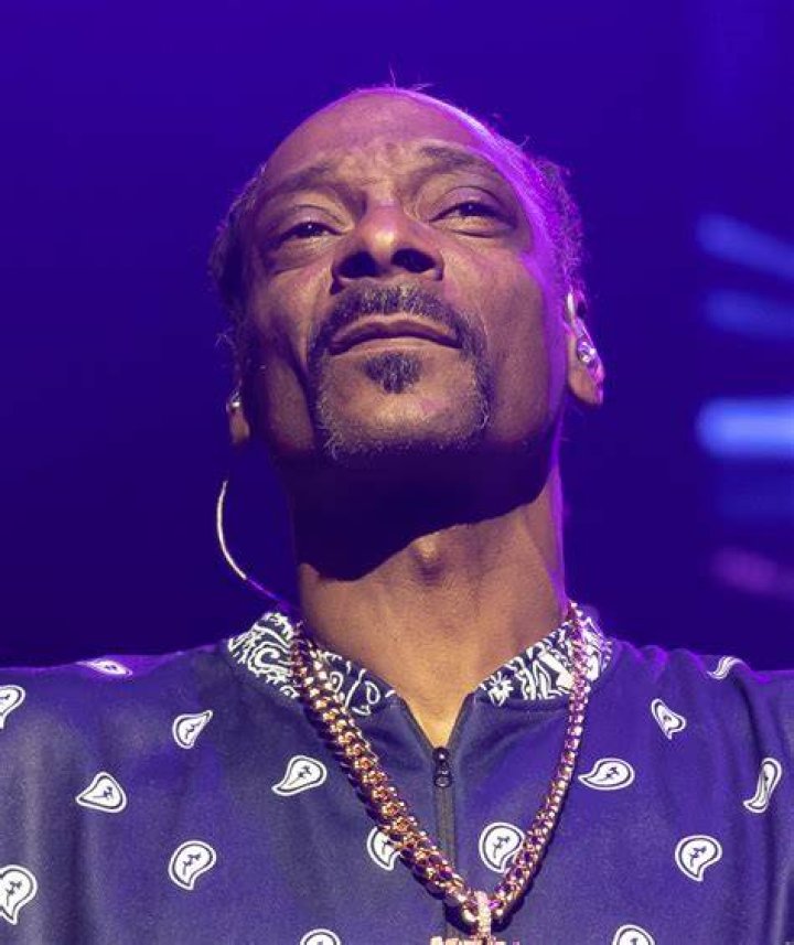 Why Snoop Dogg's Legal Troubles Led Him To Jail