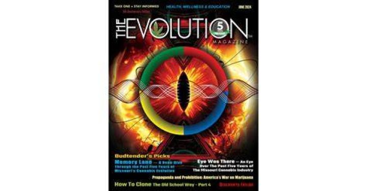 WrapUp Magazine The Evolution Of Gangster Rap