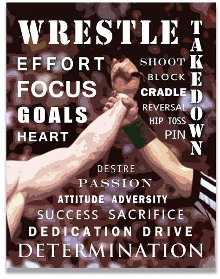 Wrestling Quotes For Posters