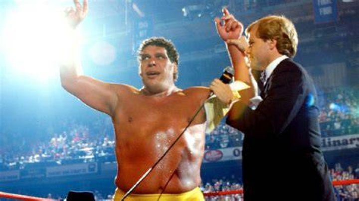 WWE icon Andre The Giant's only daughter Robyn attended a recent