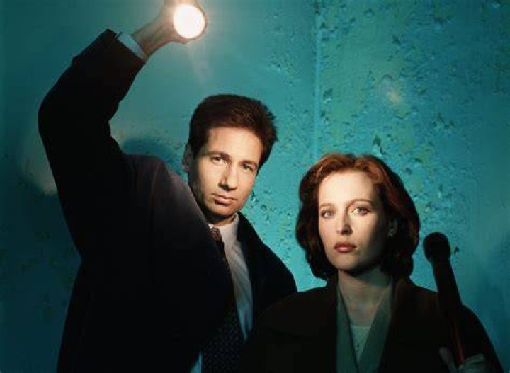 X Files' David Duchovny enjoys lunch with lson Miller in Malibu Daily