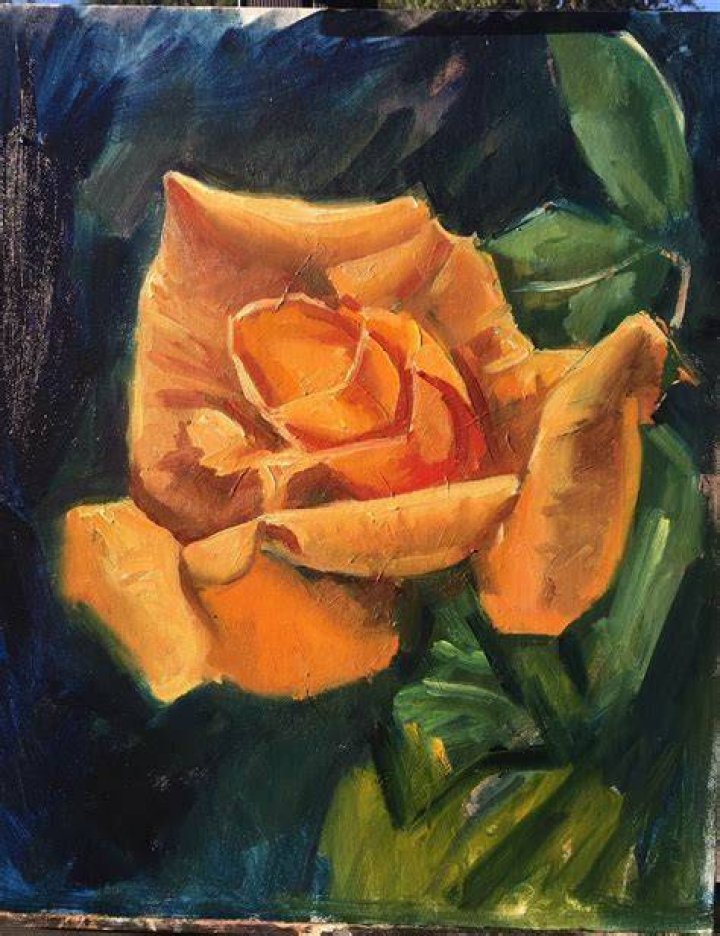 Yellow Rose Maniscalco Gallery